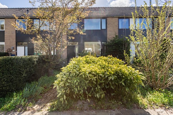 Noppenstraat 60, 2136AJ Zwaanshoek